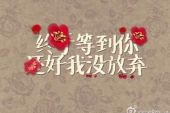 《等你等你我等你》(蒋婴演唱)的文本歌词及LRC歌词