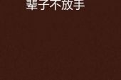 《一生不放手》(秦峰演唱)的文本歌词及LRC歌词