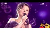 《只属于你的歌》(颖宝儿演唱)的文本歌词及LRC歌词