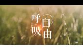 《多想自由呼吸》(乾国科演唱)的文本歌词及LRC歌词