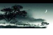 《当年凉夜》(安苏羽演唱)的文本歌词及LRC歌词