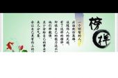 《恋爱格言》(崔子格演唱)的文本歌词及LRC歌词