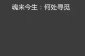 《何处寻觅》(枫桥演唱)的文本歌词及LRC歌词