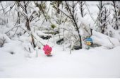 《下雪了》(高佳演唱)的文本歌词及LRC歌词