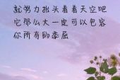 《包容你》(杨峰演唱)的文本歌词及LRC歌词