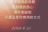 《你伤我伤的太深》(文心演唱)的文本歌词及LRC歌词