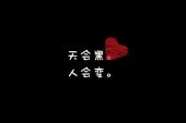 《怎么是最后》(崔伟立演唱)的文本歌词及LRC歌词