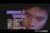 《我恨你这个无心的人》(赵纲演唱)的文本歌词及LRC歌词