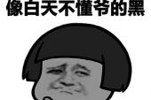 《白天不懂夜的黑》(王爵演唱)的文本歌词及LRC歌词