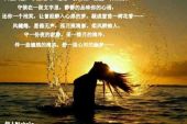 《你的思念在我目光里流淌》(成鹏飞演唱)的文本歌词及LRC歌词