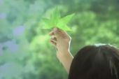 《幸福从这一秒开始》(陈红演唱)的文本歌词及LRC歌词