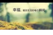 《幸福的开关》(周迅演唱)的文本歌词及LRC歌词