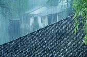 《江南烟雨》(丛萌远演唱)的文本歌词及LRC歌词