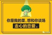 《你是我的菜》(阿伊米拉演唱)的文本歌词及LRC歌词