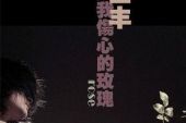 《让我伤心的玫瑰》(陈瑞,田丰演唱)的文本歌词及LRC歌词