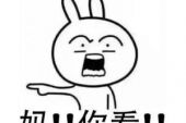 《如果你要嫁给他》(阿彬哥演唱)的文本歌词及LRC歌词