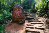 《爱情天梯在哪里》(马丽演唱)的文本歌词及LRC歌词