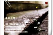 《孤芳自赏》(李小沐演唱)的文本歌词及LRC歌词