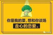 《你是我的菜》(陈艺鹏演唱)的文本歌词及LRC歌词