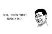 《放过》(李小沐演唱)的文本歌词及LRC歌词