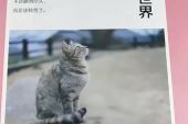 《一个转身两个世界》(夏天Alex演唱)的文本歌词及LRC歌词