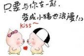 《你是我的懒猪和小傻瓜》(洛天依演唱)的文本歌词及LRC歌词