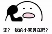 《你好啊小宝贝》(李谷一演唱)的文本歌词及LRC歌词