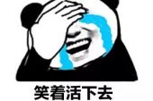 《来给生活比个耶》(苏谭谭演唱)的文本歌词及LRC歌词