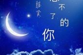 《忘不了忘不掉》(镜喜演唱)的文本歌词及LRC歌词