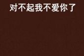 《对不起我不爱你》(麟凤阁演唱)的文本歌词及LRC歌词