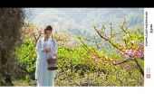 《葬花》(王媛渊演唱)的文本歌词及LRC歌词