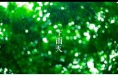 《你的眼睛会下雨》(王雪霏演唱)的文本歌词及LRC歌词