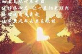 《自由的一天》(White,Dimension演唱)的文本歌词及LRC歌词