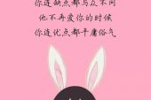 《不愿再想你》(林淑娟演唱)的文本歌词及LRC歌词