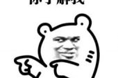 《我了解你》(邓丽君演唱)的文本歌词及LRC歌词