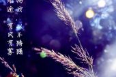 《就这样离我远去》(陈勇演唱)的文本歌词及LRC歌词