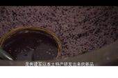 《为执着干杯》(蓝奕邦演唱)的文本歌词及LRC歌词
