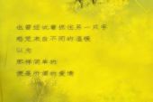 《有没有一种幸福可以让我不哭》(李不美演唱)的文本歌词及LRC歌词