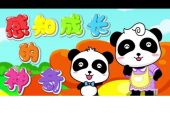 《感知成长的神奇》(孙俪演唱)的文本歌词及LRC歌词
