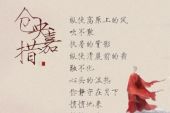 《网络邂逅的你》(秦立新演唱)的文本歌词及LRC歌词