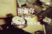 《谢谢你我的爱人》(金山演唱)的文本歌词及LRC歌词