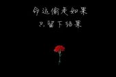 《你走后》(杨坤演唱)的文本歌词及LRC歌词