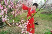 《春天的歌谣》(红蔷薇演唱)的文本歌词及LRC歌词