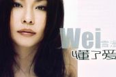 《懂了爱》(魏雪漫演唱)的文本歌词及LRC歌词