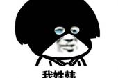《猜不透的你》(邓丽君演唱)的文本歌词及LRC歌词