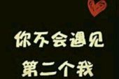 《你不会遇到第二个我》(陌小安演唱)的文本歌词及LRC歌词