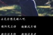 《你是微风》(紫齐演唱)的文本歌词及LRC歌词