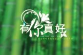 《能有你真好》(丁思忖演唱)的文本歌词及LRC歌词