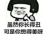 《想得美》(丁当演唱)的文本歌词及LRC歌词