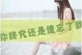 《不是说好不分手》(杨罡演唱)的文本歌词及LRC歌词